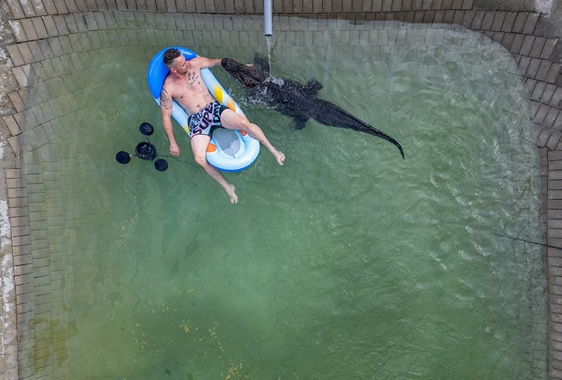 Cựu nghệ sĩ xiếc Krystian Kaulis cùng Meyer, một con cá sấu Mỹ, tại hồ bơi ngoài trời ở Elmenhorst, Đức.