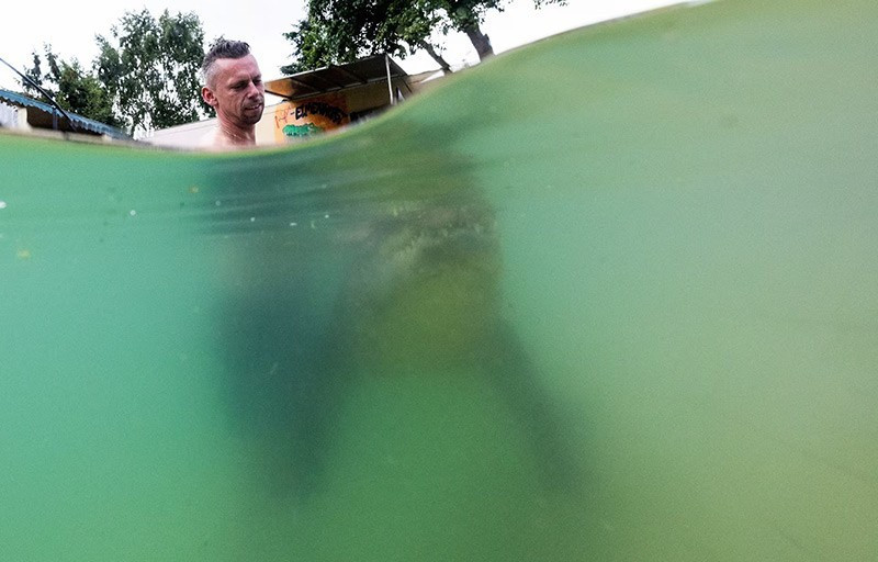 Meyer hầu như rất lười biếng. Khó mà tưởng tượng rằng nó có thể di chuyển nhanh như chớp và đặc biệt là táp mạnh với 82 chiếc răng. Nguy hiểm với hầu hết mọi người, nhưng với gia đình Kaulis thì nó như một bạn ôm thân thiện.