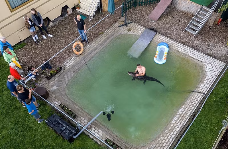 Nếu thời tiết thuận lợi, Krystian Kaulis thích bơi cùng Mrs. Meyer