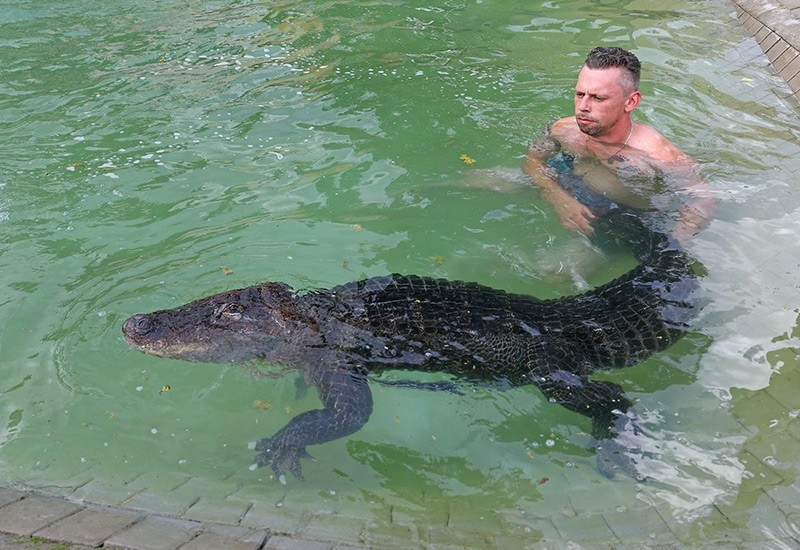 Nó sống trong một container cách nhiệt đã được cải tạo, có sàn sưởi và đèn nhiệt.