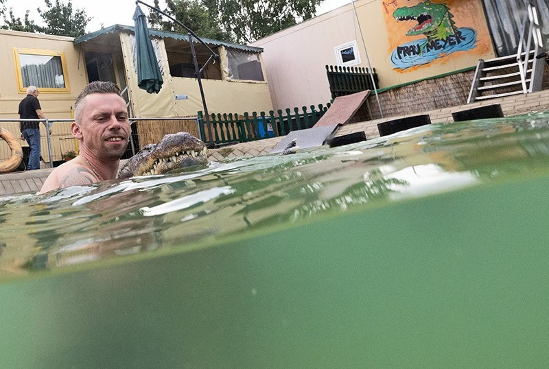 Meyer được ông Klaus Kaulis mua về khi mới 2 tuổi.