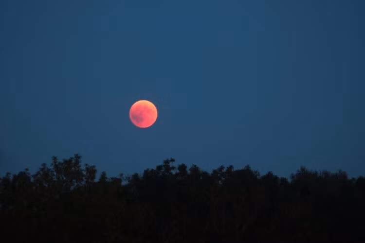 Giai đoạn "trăng máu" chính thức bắt đầu lúc 0h30 ngày 8/9 và đạt cực đại vào 1h11. Vào lúc 1h52 ngày 8/9, nguyệt thực toàn phần kết thúc. Ảnh: Adobe Stock.