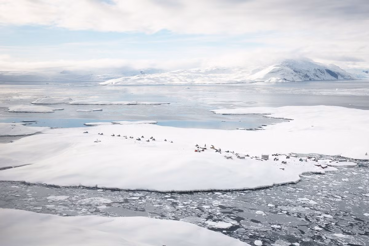 Nhiều thế hệ săn Inuit đã lần theo dấu gấu Bắc Cực, hải cẩu và nhiều loài động vật vùng cực khác để săn bắn, kiếm kế mưu sinh. Ảnh: Tiina Itkonen, Justin Lewis.