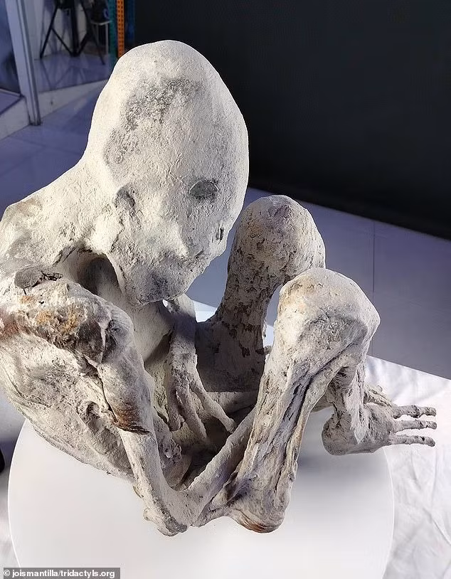 Một xác ướp "người ngoài hành tinh" 3 ngón được đặt tên là Montserrat . Đây là một trong số hàng chục xác ướp được một người dân địa phương tìm thấy ở sa mạc Nazca, Peru vào năm 2017. Ảnh: Jois Mantilla/Tridactyls.org.