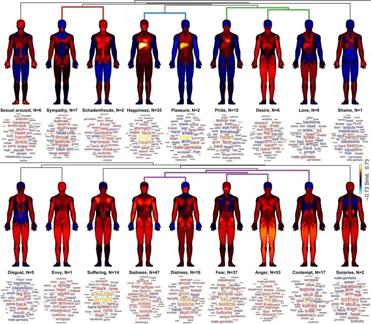 Cụ thể, nhóm nghiên cứu đã kiểm tra, phân tích hơn 1 triệu từ văn bản tiếng Akkad, được viết bằng chữ hình nêm trên các phiến đất sét có niên đại từ năm 934 trước Công nguyên đến năm 612 trước Công nguyên. Ảnh: Juha M. Lahnakoski et. al / CC BY 4.0.