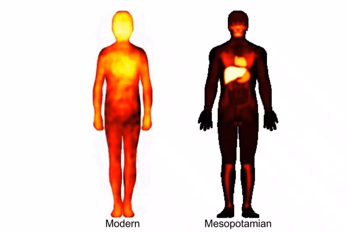Trong nghiên cứu công bố trên tạp chí iScience, nhóm chuyên gia bao gồm: Saana Svärd, Juha Lahnakoski, Giáo sư Mikko Sams của Đại học Aalto, Ellie Bennett của Đại học Helsinki, Giáo sư Lauri Nummenmaa của Đại học Turku và Tiến sĩ Ulrike Steinert của Đại học Johannes Gutenberg Mainz đã có khám phá thú vị về cuộc sống của cư dân ở Lưỡng Hà cổ đại (ngày nay thuộc lãnh thổ Iraq). Ảnh: Juha M. Lahnakoski et. al / CC BY 4.0.