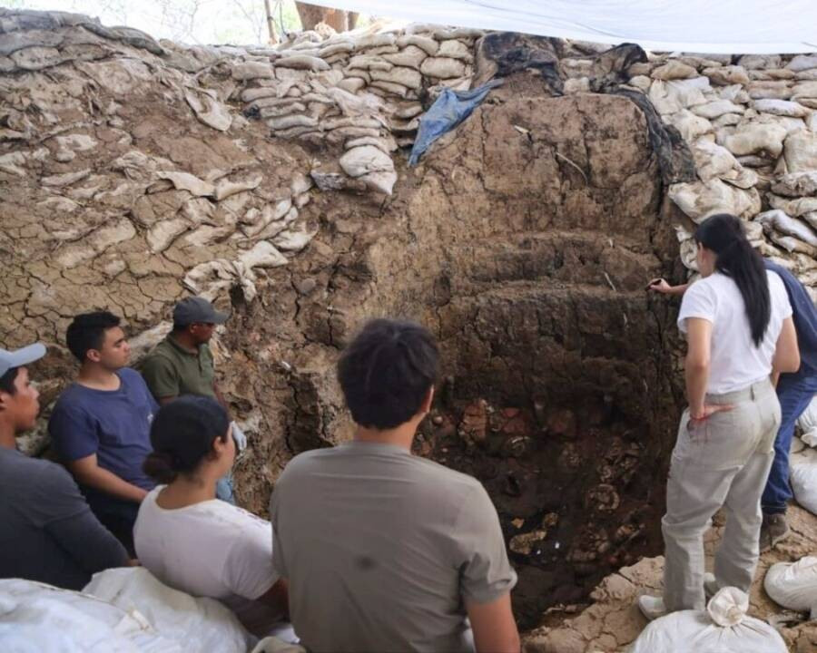 Kho báu tùy táng được tìm thấy bên trong ngôi mộ có niên đại từ thế kỷ thứ 8 - 11. Đáng chú ý là một số hiện vật tinh xảo có họa tiết phổ biến thời tiền Columbus như dơi và cá sấu. Ảnh: Panama Ministry of Culture.