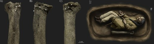 View - Lần đầu tiên phát hiện hài cốt phụ nữ Trung cổ chôn cùng vũ khí ở Hungary | Báo Tri thức và Cuộc sống - TIN TỨC PHỔ BIẾN KIẾN THỨC 24H