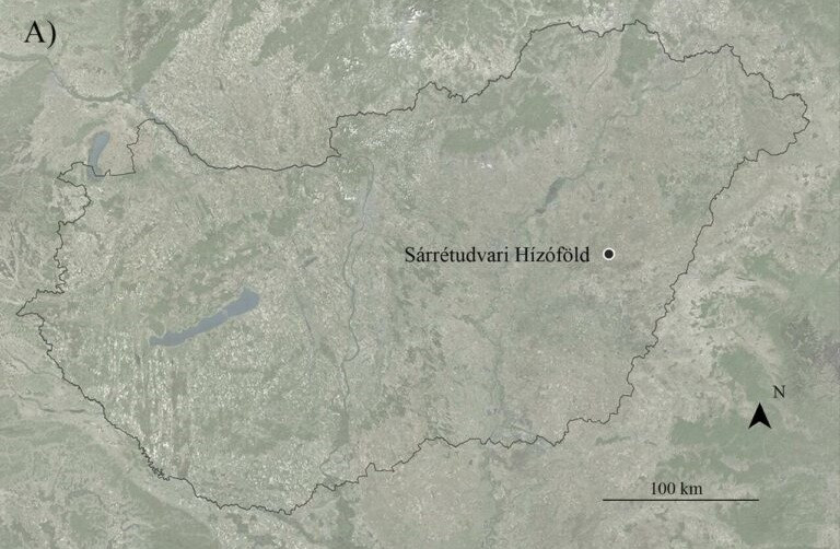 View - Lần đầu tiên phát hiện hài cốt phụ nữ Trung cổ chôn cùng vũ khí ở Hungary | Báo Tri thức và Cuộc sống - TIN TỨC PHỔ BIẾN KIẾN THỨC 24H