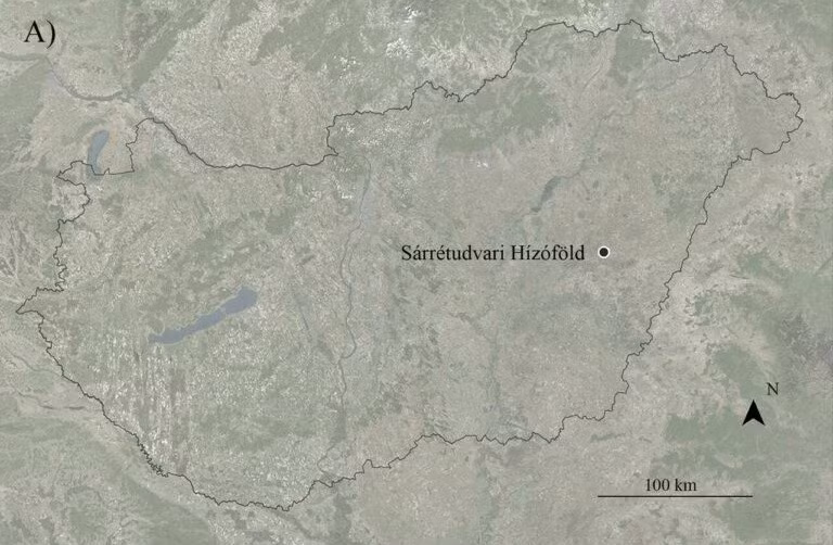 Thông qua phân tích khảo cổ học, nhân chủng học và di truyền toàn diện, các nhà nghiên cứu đã xác nhận ngôi mộ này có sự pha trộn đặc điểm của nơi chôn cất dành cho nam giới và phụ nữ. Ảnh: Luca Kis/Tihanyi et al., PLoS ONE 2024 (CC BY 4.0).