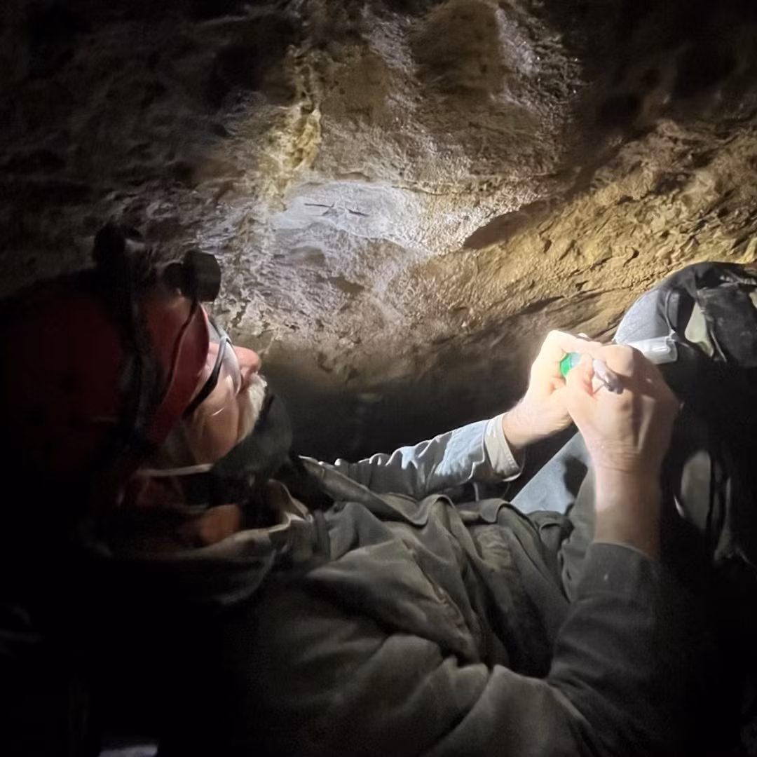 Cục Công viên Quốc gia Hoa Kỳ (NPS) thông báo loài cá mập mới phát hiện được đặt tên là Macadens olsoni. Đây là loài cá mập nhỏ, dài chưa đến 30 cm và có thể ăn động vật thân mềm, giun. Ảnh: Mammoth Cave National Park.