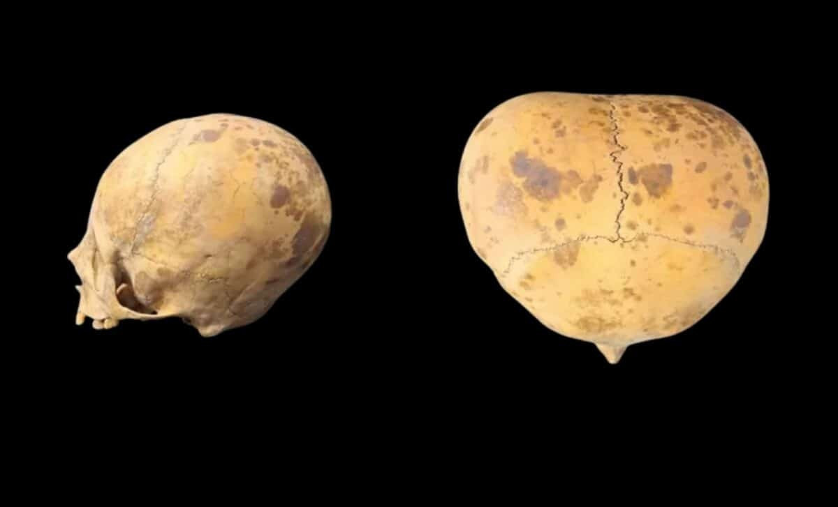 Hộp của của đứa trẻ được đặt trong ngôi mộ ở tư thế bào thai. Căn cứ vào những hiện vật được tìm thấy gần đó, các chuyên gia xác định đứa trẻ qua đời vào khoảng năm 1100 - 1300. Ảnh: Provincial Directorate of Anthropology / Catamarca Ministry of Culture, Tourism and Sports.