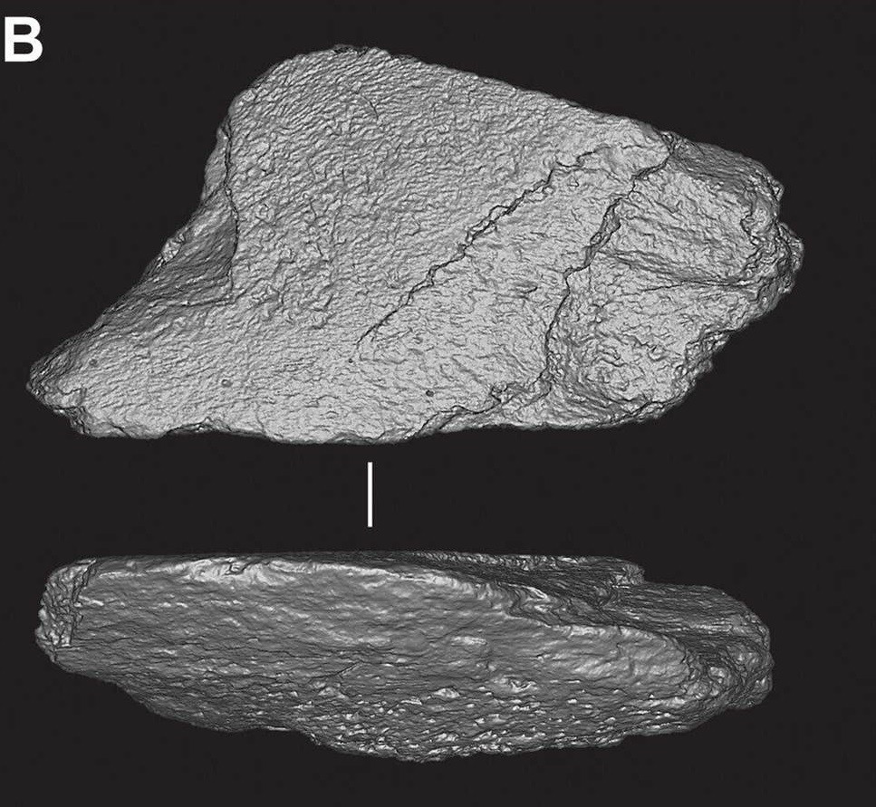 "Công cụ làm từ xương voi cho thấy dấu hiệu được tạo hình và sử dụng để đẽo gọt và mài lại các công cụ bằng đá khi xương vẫn còn tươi. Điều này cho thấy họ hàng của người hiện đại đã biết rằng xương voi là một vật liệu tuyệt vời cho việc này", đồng tác giả nghiên cứu Silvia cho hay. Ảnh: Science Advances.