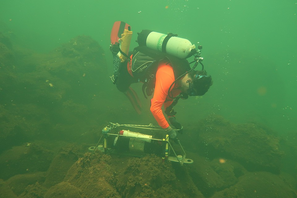 Theo ước tính, cụm san hô Porites rus ở đảo Maug đã hơn 2.050 năm tuổi. "Rất khó xác định tuổi thật của loài san hô này vì chúng không tạo ra vòng tăng trưởng như những loài khác. Chúng tôi ước tính Porites rus lớn thêm khoảng 1 cm mỗi năm. Vì vậy, một quần thể với kích thước như vậy chắc hẳn đã sống rất lâu", Tiến sĩ Hannah Barkley, nhà khoa học của NCRMP chia sẻ. Ảnh: NOAA Fisheries.