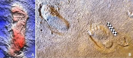 Theo nhóm nghiên cứu, dấu chân của người Neanderthal gần như giống hệt với dấu chân của con người. Những dấu chân này nằm gần bờ biển trên một cồn cát ven biển. Những dấu chân này có từ khoảng 83.000 - 73.000 năm trước. Ảnh: C.N. de Carvalho et al.