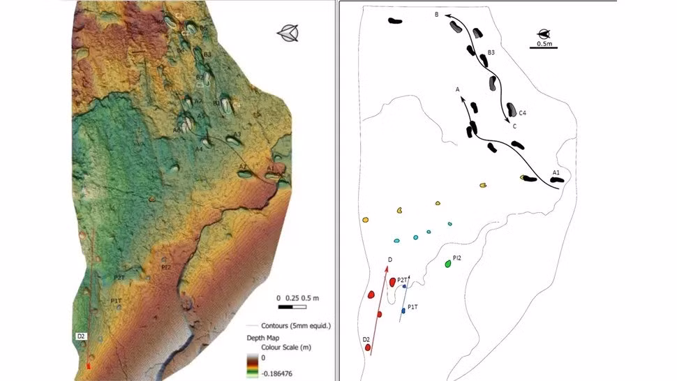 Nhà địa chất Carlos cho biết vợ chồng ông đã phát hiện những dấu chân cổ xưa đó vào sáng sớm của một ngày nắng đẹp, ánh sáng hoàn hảo để kiểm tra dấu vết. Ảnh: Carlos Neto de Carvalho (CC BY-NC-ND 4.0).