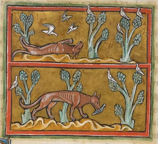 Lối sống ngày càng thụ động hơn đồng nghĩa với sinh vật độc nhãn không còn cần đến cặp mắt nên chức năng này tự động bị loại bỏ trong quá trình tiến hóa. Tuy nhiên, nó vẫn giữ lại một nhóm tế bào nhạy sáng ở giữa đầu. Ảnh: Public Domain.