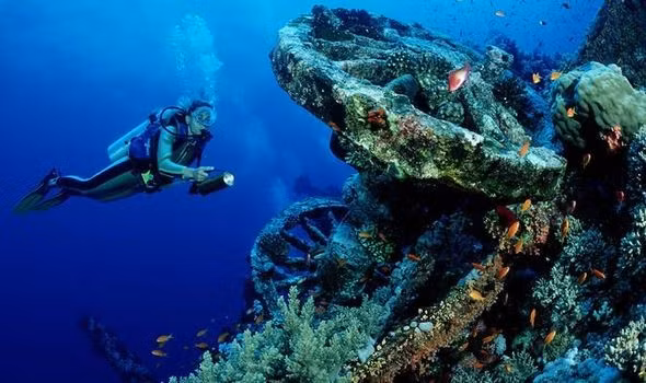 Một số chuyên gia tin rằng, những chai rượu mới được trục vớt không chỉ đáng để thưởng thức mà còn có thể được bán với giá cao (ước tính khoảng 5.000 - 10.000 USD/chai) trong các buổi đấu giá trong tương lai. Ảnh: GETTY.