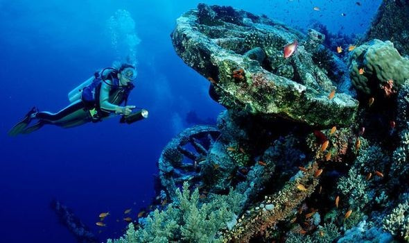 Một số chuyên gia tin rằng, những chai rượu mới được trục vớt không chỉ đáng để thưởng thức mà còn có thể được bán với giá cao (ước tính khoảng 5.000 - 10.000 USD/chai) trong các buổi đấu giá trong tương lai. Ảnh: GETTY.