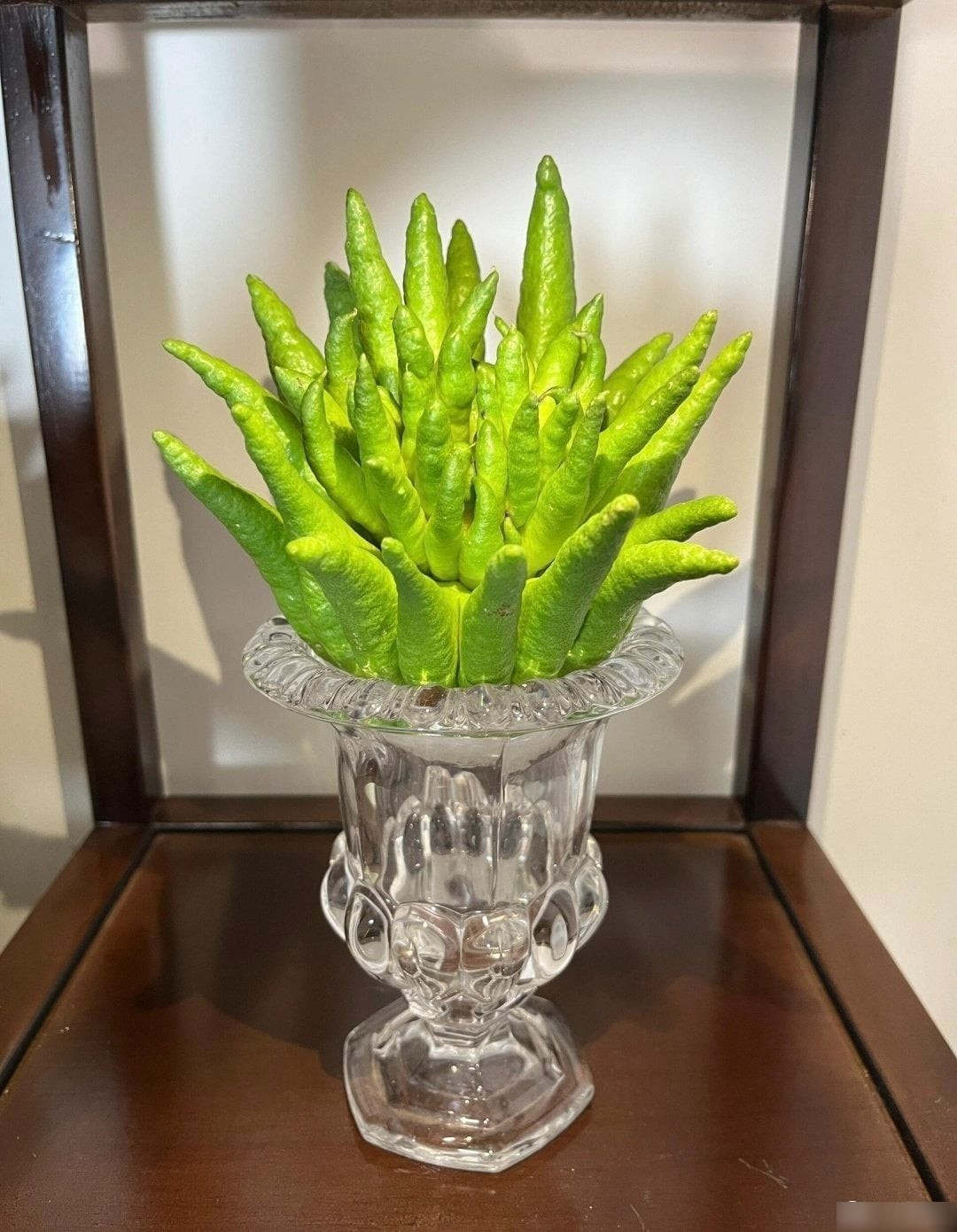 Ngoài giá trị trang trí, hương thơm của Phật thủ còn giúp thư giãn, giảm căng thẳng, thanh lọc không khí; xưa kia còn được đặt trong phòng ngủ hay tủ quần áo để tạo mùi thơm tự nhiên.