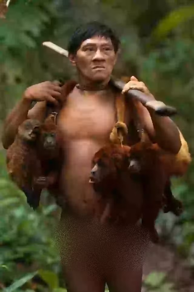 Các thành viên nam giới trong bộ tộc Huaorani thường xuyên đi săn khỉ, chim, lợn cỏ Peccary... Tuy nhiên, họ không săn bắt động vật sống trên mặt đất hoặc các loài chim săn mồi. Ảnh: Pete Oxford/Media Drum World.