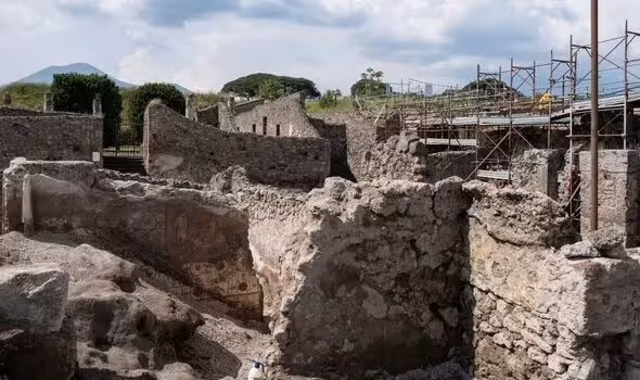 Không những vậy, những cư dân mới đã tới Pompeii và cùng người dân quay trở về nhà để xây dựng cuộc sống mới. Theo thời gian, nơi đây dần hồi sinh, thảm thực vật phát triển, việc trồng trọt ngũ cốc đạt hiệu quả... Ảnh: Getty.