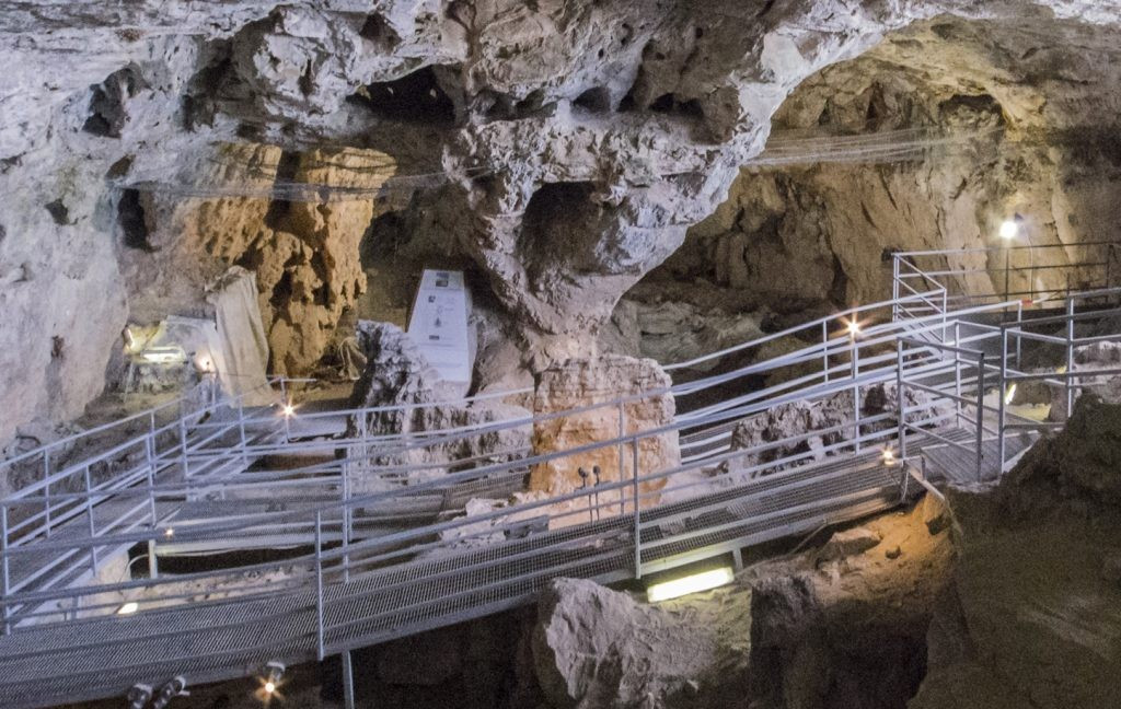 Sau khi phân tích kỹ lưỡng các hình ảnh, các nhà nghiên cứu kết luận rằng, trên đường đi tìm kiếm thức ăn, "hoàng tử" đã bị chấn thương nghiêm trọng ở vai và mặt vào khoảng thời gian tử vong, đúng như kết luận ban đầu của giới chuyên gia. Ảnh: mudifinale.com.