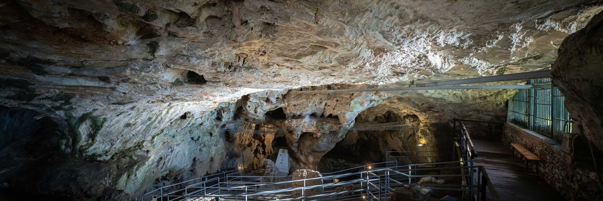 Gần đây, các nhà nghiên cứu đã được bảo tàng cho phép đưa bộ hài cốt "hoàng tử" ra khỏi khu trưng bày để kiểm tra, phân tích. Nhờ vậy, họ chụp ảnh và tạo mô hình bề mặt 3D của thi hài. Ảnh: artsupp.com.