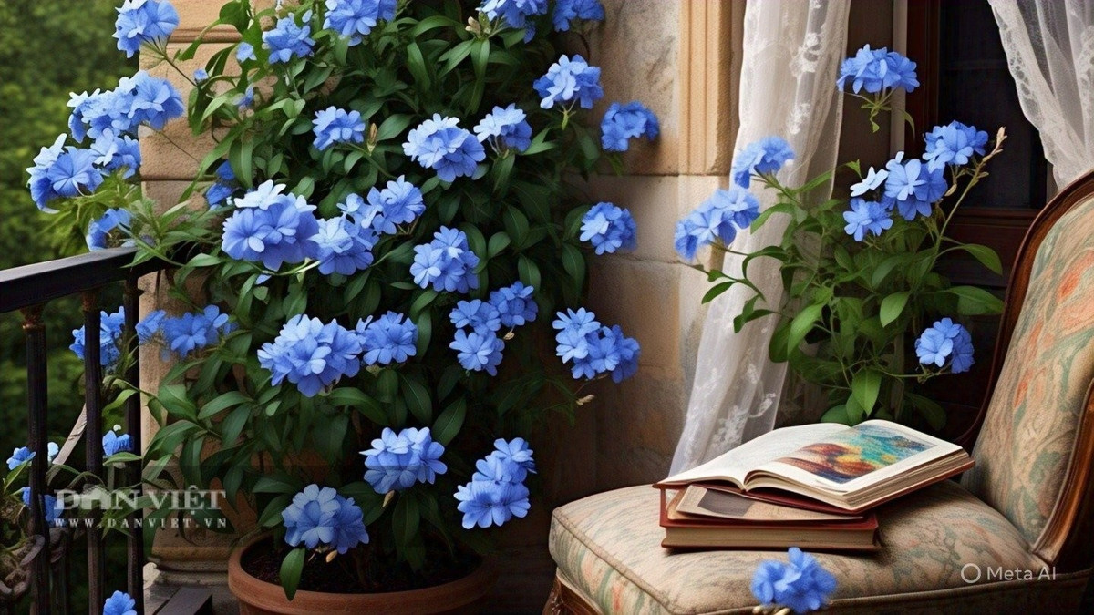 Người xưa nói: Để đồ hỏng hóc ở ban công, &quot;rò rỉ&quot; năng lượng