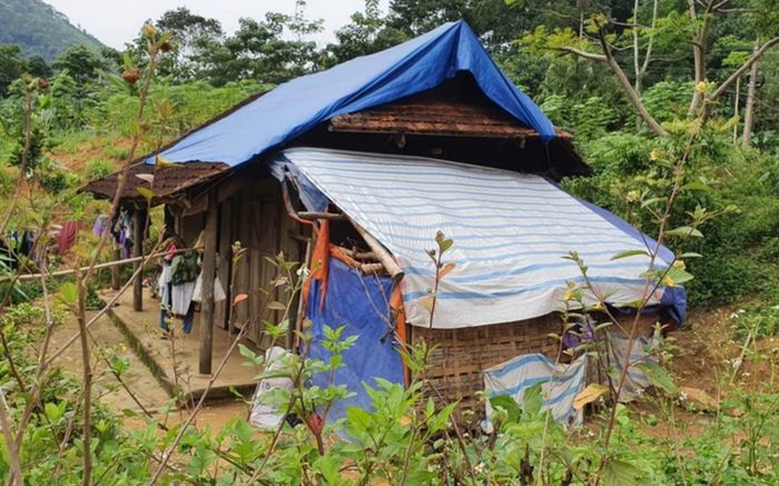 Bé gái 11 tuổi mang thai ở Phú Thọ hiện tình trạng ra sao? ảnh 1