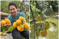 Bên trong nhà vườn lúc lỉu trái cây của ca sĩ Trọng Tấn