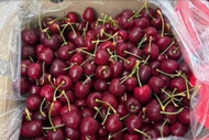 Gần Tết, cherry nhập khẩu bất ngờ giảm giá sâu