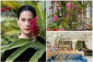 Bên trong ngôi nhà rực rỡ sắc hoa của nữ diễn viên phim "Mưa đỏ"