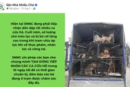 Chó mèo bị “bỏ rơi” cận Tết: Khi tình thương hoá gánh nặng cho trạm cứu hộ