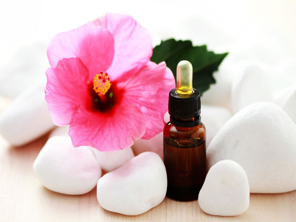 Hoa dâm bụt: Hoa dâm bụt giúp điều chỉnh sự cân bằng giữa các hóc-môn estrogen và progesterone trong cơ thể, do đó giúp chu kỳ hàng tháng trở nên đều đặn và cân bằng hơn.