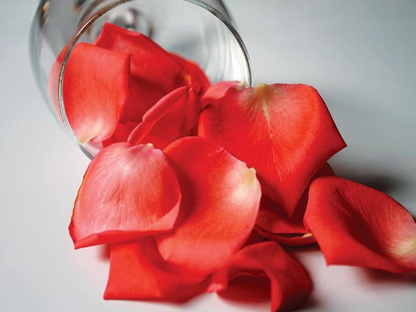 Cánh hoa hồng: Giã dập một vài cánh hoa hồng trộn cùng một muỗng canh mật ong rồi bôi lên môi, bạn sẽ thấy môi trở nên mềm mịn rõ ràng.