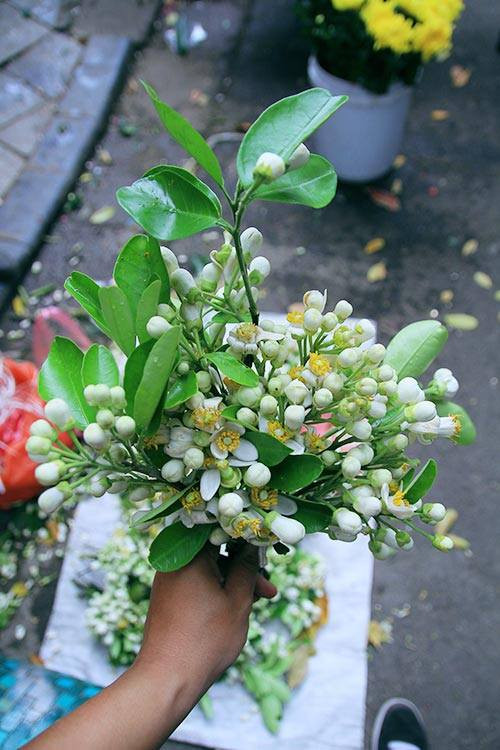 Bước 2: Tráng hoa bưởi đã rửa sạch qua nước đun sôi để nguội, để hoa bưởi ráo nước.