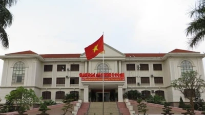Đồng Tháp: Ai sẽ thi công đê bao Tân Bình – Tân Quới?