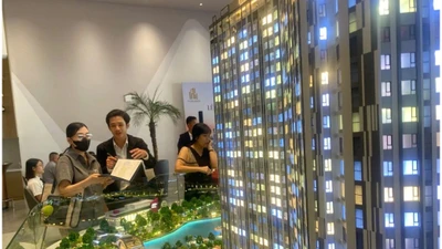 Thị trường căn hộ phục hồi, lượng giao dịch tăng đột biến