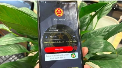 Từ 1/7, hộ kinh doanh dùng CCCD thay mã số thuế