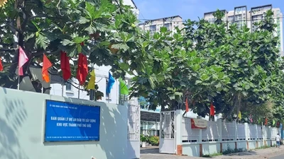 TP Thủ Đức: Nhật Quang Minh sẽ nâng cấp hẻm phường Tam Phú?