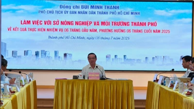 Phó Chủ tịch TP HCM yêu cầu sớm chốt bảng giá đất mới