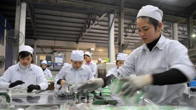 Từ 1/7 thay đổi MST cá nhân, sàn TMĐT sẽ nộp thuế thay 