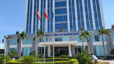 Nhà thầu nào trúng gói mua sắm tại Điện lực Quảng Ngãi?