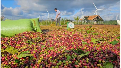 Dấu hiệu lừa đảo hàng trăm tỷ từ hoạt động ký gửi nông sản