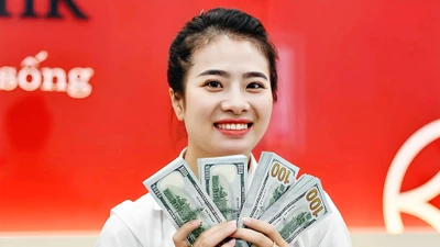 Giá USD ngân hàng vượt 26.300 đồng, cao kỷ lục