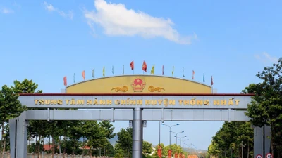 Đồng Nai: "Soi" năng lực nhà thầu trúng gói hệ thống điện đường N7