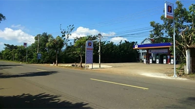 TP HCM: Nhà thầu nào sẽ sửa chữa, cải tạo đường Hoàng Sâm?