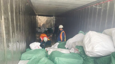 Khởi tố vụ xuất khống 1.400 tấn chân gà, trốn thuế trên 7 tỷ