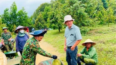 Nhiều đại gia bất ngờ lấn sân kinh doanh sầu riêng xuất khẩu